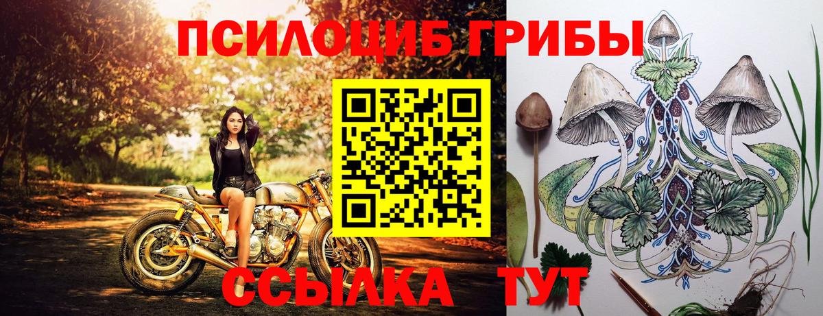 Галлюциногенные грибы MAGIC MUSHROOMS  Вход с VPN  Ковров  Псилоцибиновые грибы мухоморы 